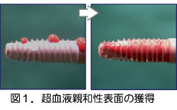 図1・超血液親和性表面の獲得